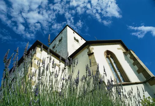 Pfarrkirche in Niederkirchen - Foto: Tourist-Information Deidesheim