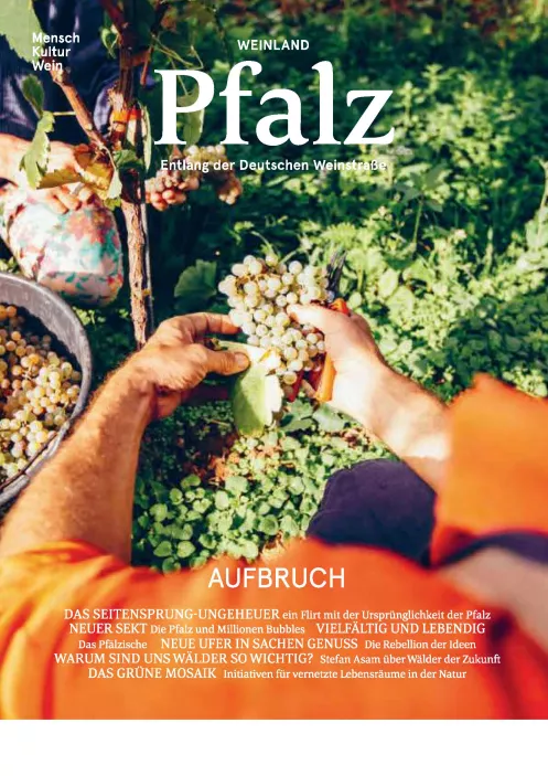 Das neue Weinland Pfalz Magazin