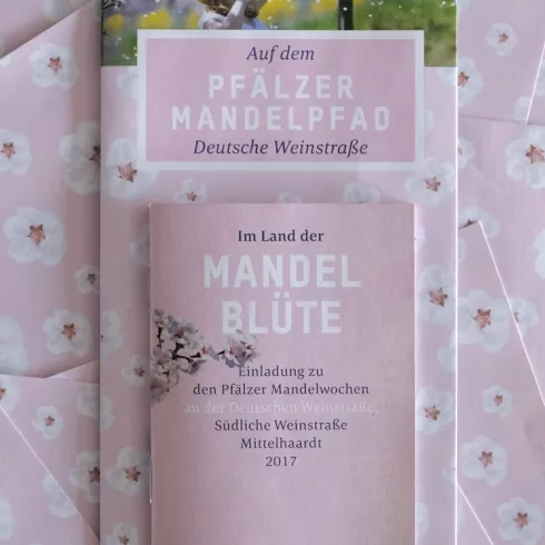  Broschüre Mandelblüte Haupt-Reiter Ansicht