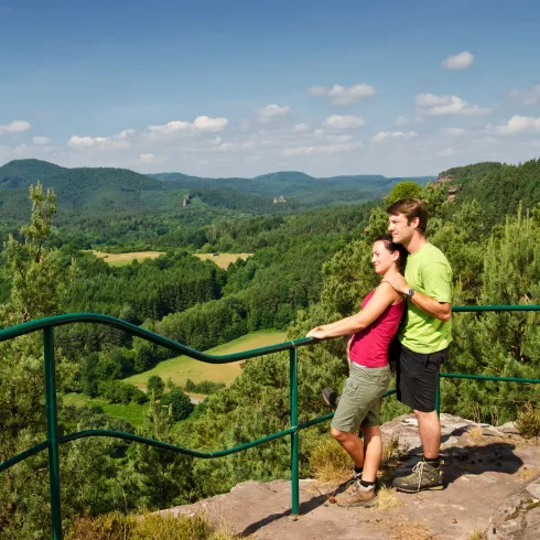Zwei Wanderer blicken auf die Hügel des Wasgau