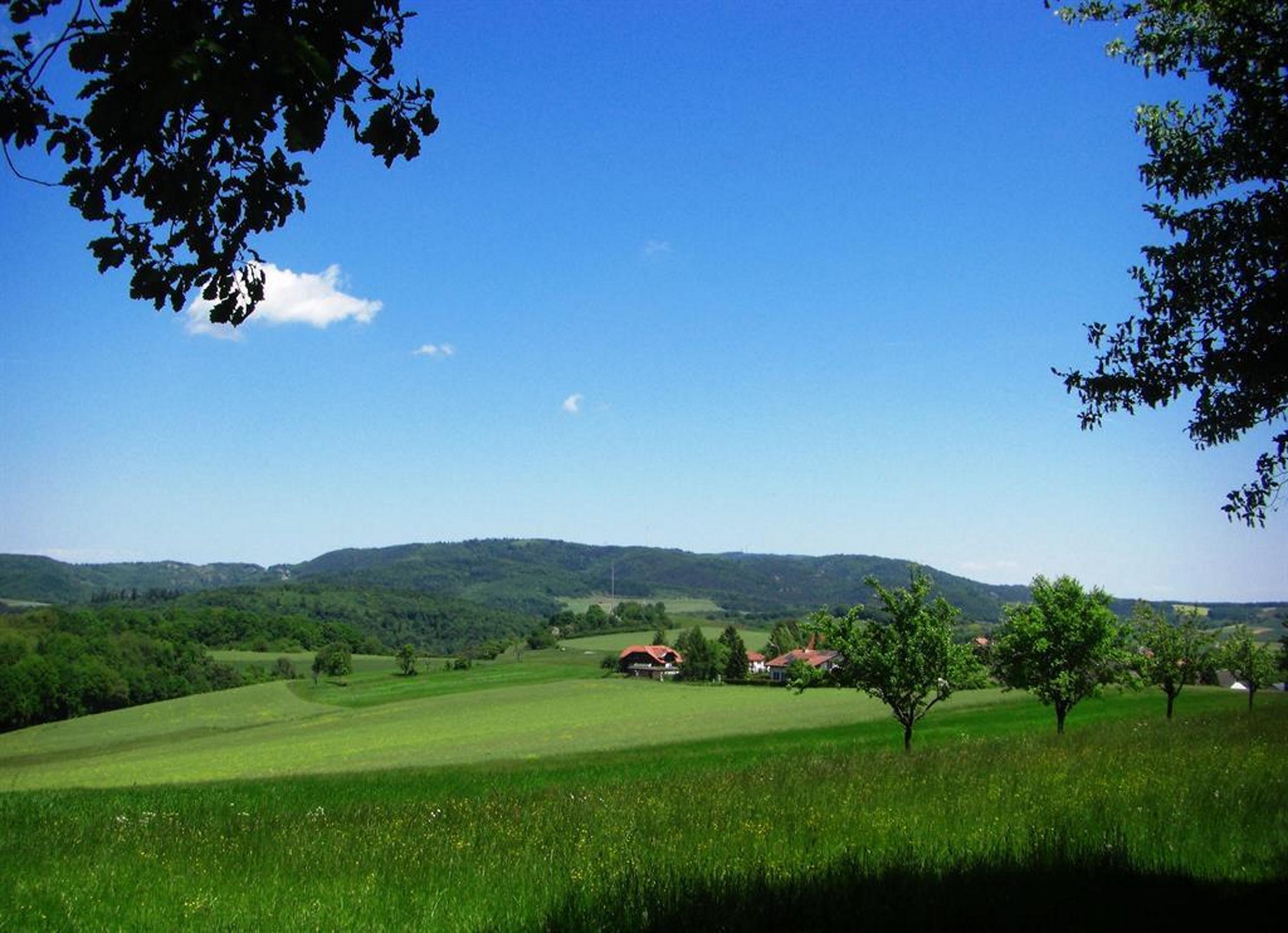 Blick zum Donnersberg Pfalz.de