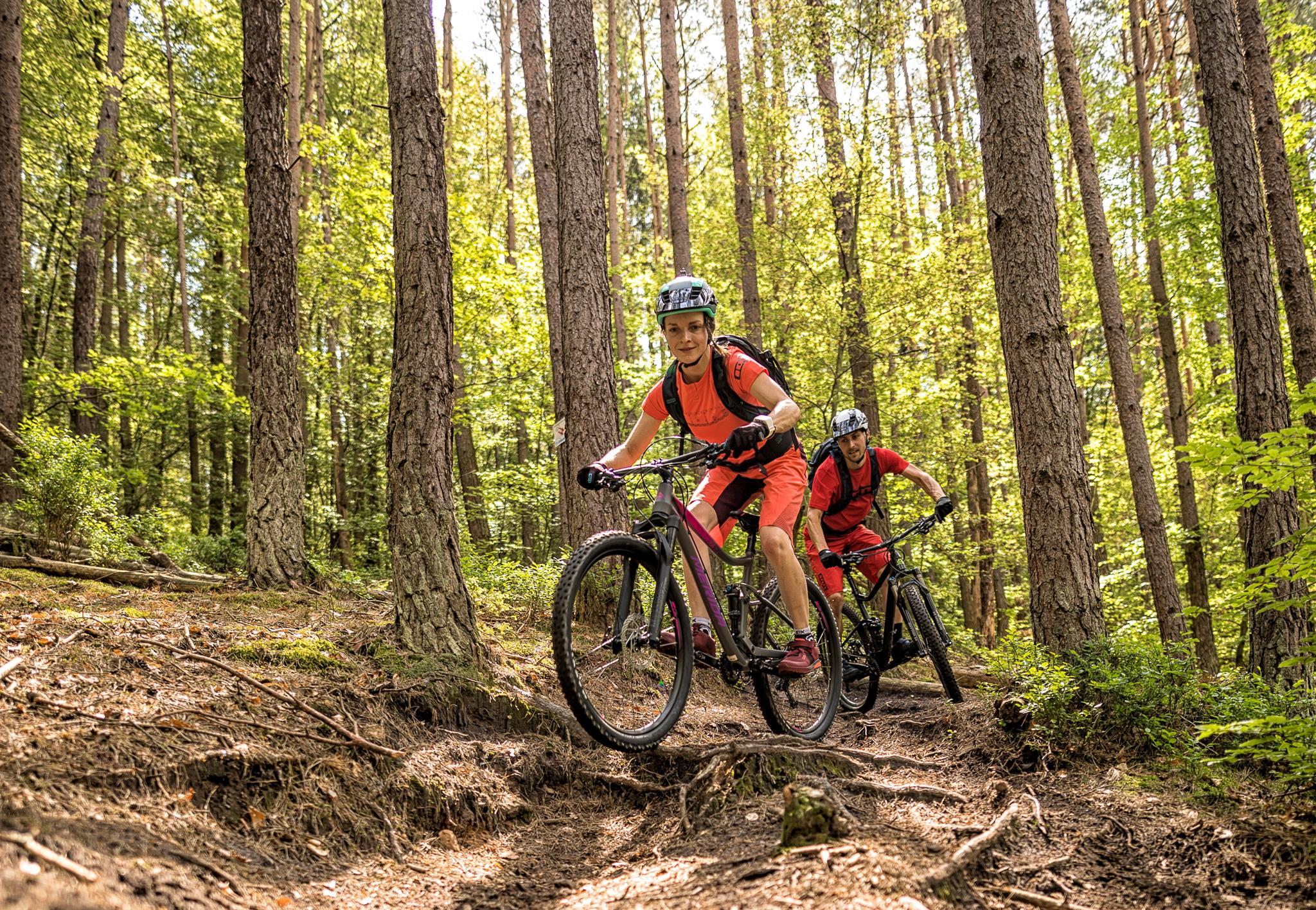 mountainbike tour rheinland pfalz