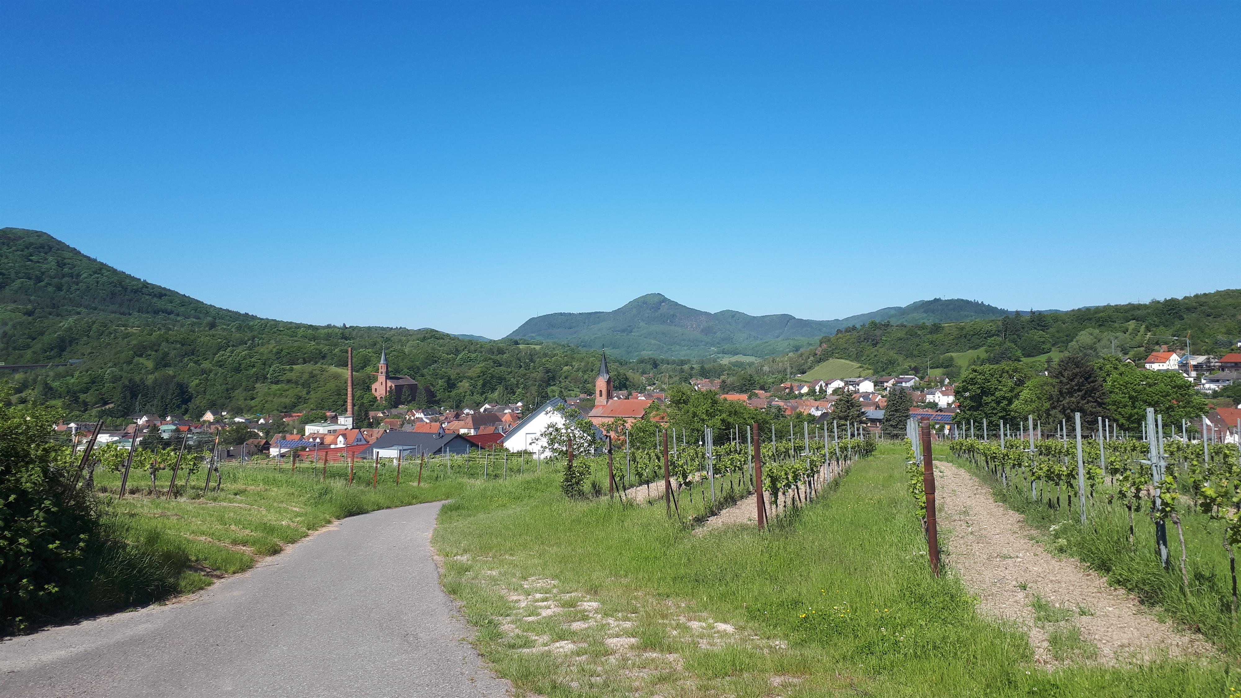 Sportplatz Albersweiler Pfalz.de