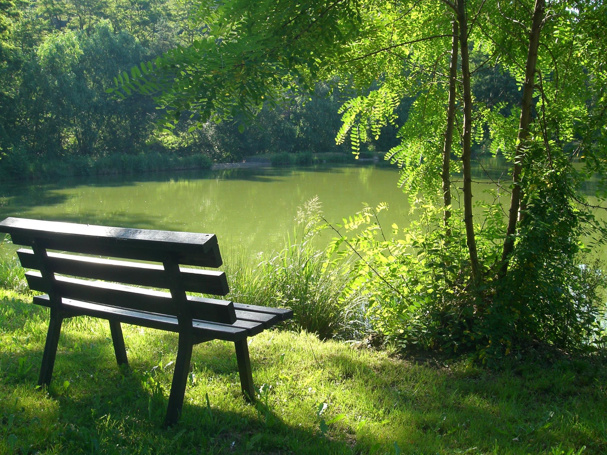 Schwarzweiher | Pfalz.de