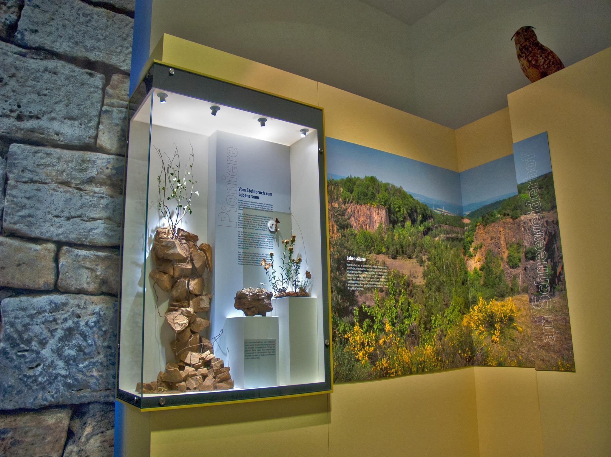 Pfalzmuseum für Naturkunde POLLICHIAMuseum Pfalz.de