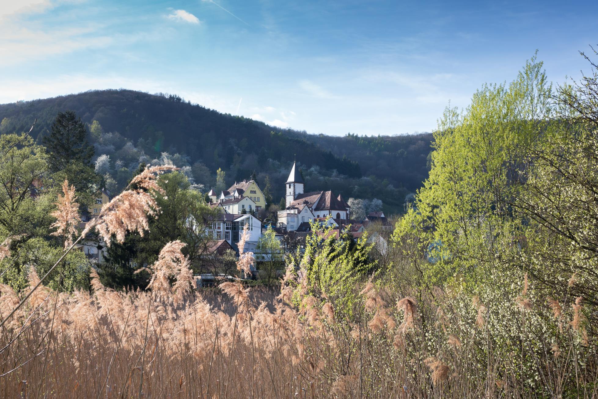 Dernbach Pfalz.de