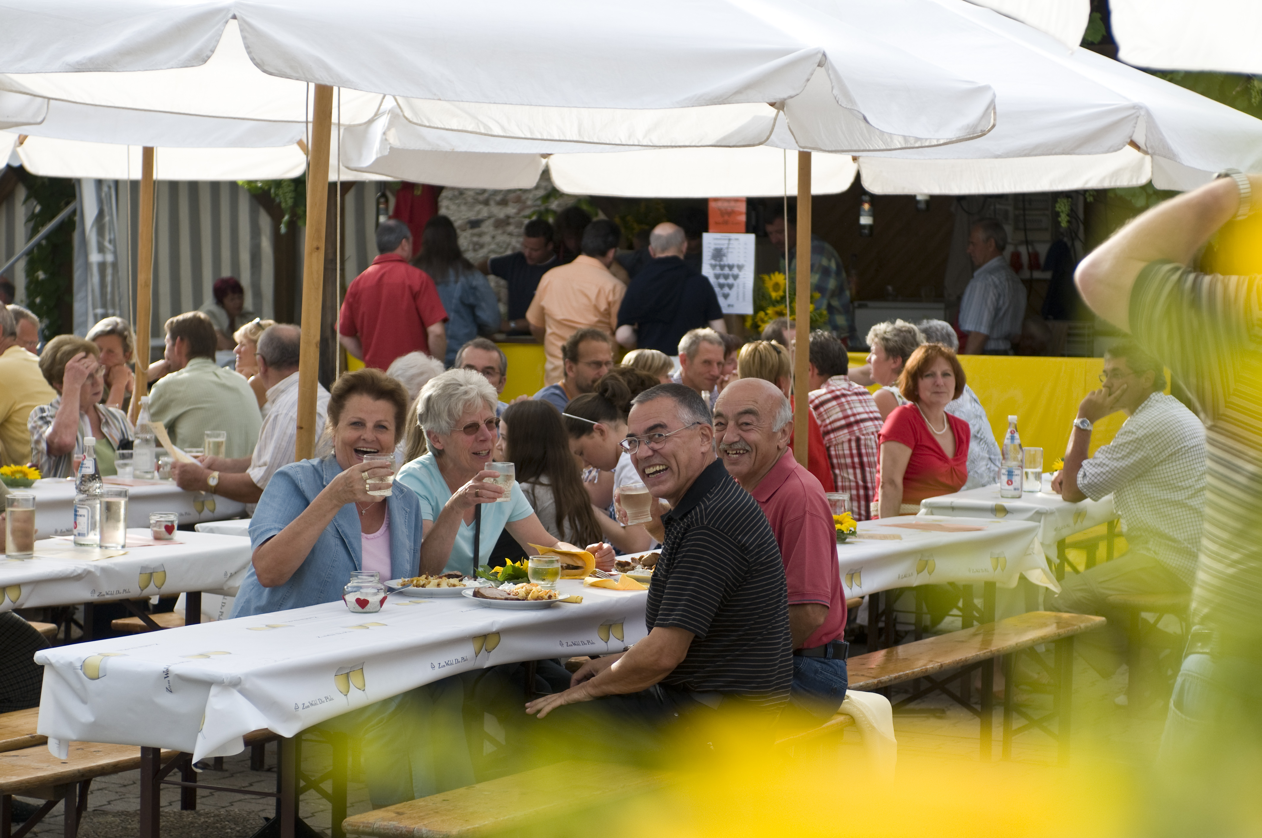 Dackenheim Liebesbrunnenfest Pfalz.de