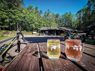 Zwei Gläser Getränk stehen auf einem Tisch aus Holz, während im Hintergrund ein bewaldetes Gelände und ein Fahrrad sichtbar sind. Die Sonne scheint und schafft eine entspannte Atmosphäre.