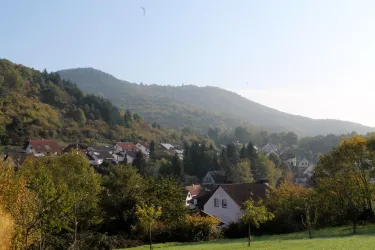 Ortsansicht (© Verein SÜW Annweiler e.V)