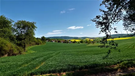Blick auf Leithöfe mit Donnersberg