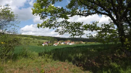 Leithöfe mit Galgenberg, aus SW