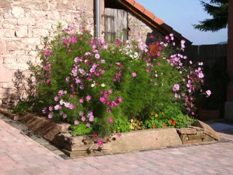 Blumenbeet im Hofbereich