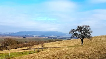 Blick Richtung Donnersberg Hinkelsteinweg Potzbach