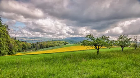 Blick in Richtung  Donnersberg