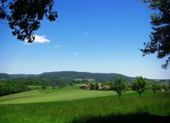 Aussicht aufs Donnersbergmassiv