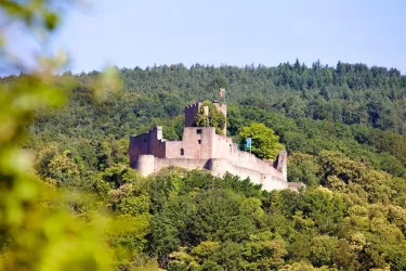 Burg Landeck (© Archiv TI Bad Bergzabern)