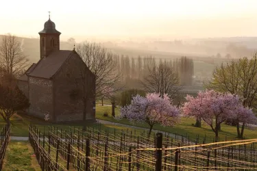 Kapelle (© Archiv TI Bad Bergzabern)