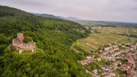 Eine alte Burg auf einem bewaldeten Hügel mit Weinbergen im Hintergrund. Im Vordergrund ist ein malerisches Dorf zu sehen.