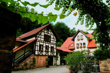 20170817-porzelt_weingut009 - Ko