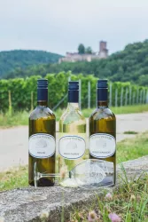 Weinflaschen (© Weinstube und Weinhof Pfeffer)