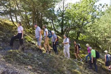 Eine Gruppe von Wanderern geht einen steilen Weg entlang, umgeben von Bäumen. Es ist ein sonniger Tag, und die Menschen tragen Rucksäcke und Wanderkleidung.