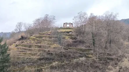 Eine grüne Hügellandschaft mit den neu angelegten Obstterassen und herbstlichen Bäumen. Oben auf dem Hügel steht eine historische Ruine, das Kriegerdenkmal von Weidenthal.