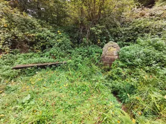 Ein verwunschener Bereich mit dichtem, grünem Unterholz und einer alten Steinmarkierung. Eine Bank aus Holz steht in der Nähe, umgeben von Pflanzen.