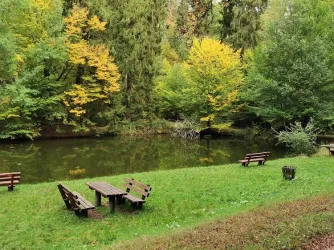 Morschbacher Weiher-Thomas Mann