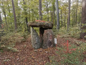 Steineprojekt-Dolmen-Mollenkopf