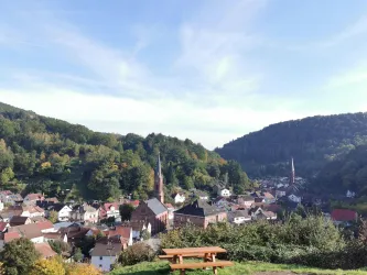 Eine malerische Aussicht auf Weidenthal umgeben von grünen Hügeln. Im Hintergrund sind Kirchen und Häuser sichtbar, unter einem klaren blauen Himmel.