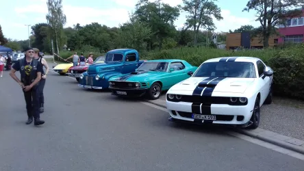 Eine Reihe von klassischen und sportlichen Autos steht auf einer Straße. Im Hintergrund sind Bäume und einige Personen zu sehen.