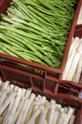 Frischer Spargel vom Kartoffelhof Böhm (© Südpfalz-Tourismus LK GER e.V., Christian Ernst)