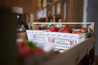 Leckerer Erdbeeren vom Kartoffelhof Böhm (© Südpfalz-Tourismus LK GER e.V., Christian Ernst)