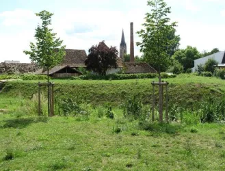 Eine grüne Wiese mit jungen Bäumen und einem historischen Gebäude im Hintergrund. Ein Kirchturm ragt über die Landschaft.