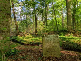 Ein ruhiger Wald mit dichten, grünen Bäumen und sanften Lichtstrahlen. Ein steinerner Gedenkstein steht im Vordergrund, umgeben von natürlichem Laub.