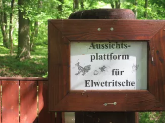 Wüstung Friedrichsbühl - Elwetritschenplattform