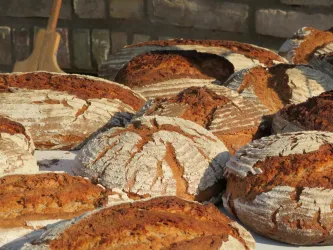 Eine Ansammlung von frisch gebackenem Brot mit knuspriger Kruste liegt auf einem Tisch. Die Brote haben unterschiedliche Formen und Farben.