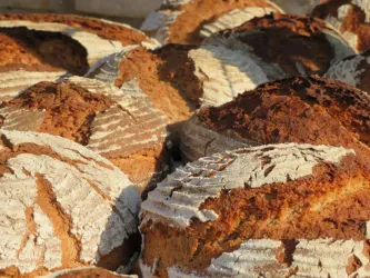 Krustige Brote mit einer goldbraunen Kruste. Sie sind frisch gebacken und weisen charakteristische Mehlmuster auf.