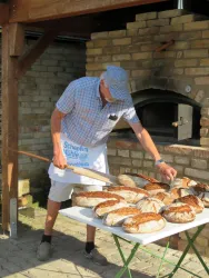Ein Mann backt frisches Brot im Freien. Er steht vor einem Holzofen und arbeitet sorgfältig mit der Backunterlage.