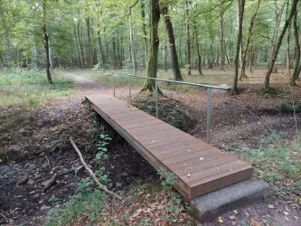 Eine kleine Holzbrücke über einen schmalen Graben im Wald. Der untere Bereich ist von grünem Laub und Erde umgeben.
