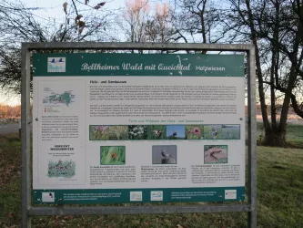 Infoschild Fauna und Flora Holzwiesen