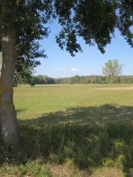 Blick über die Holzwiesen vom Parkplatz Ruheforst