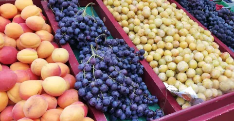 Bunte Auswahl an frischen Früchten, darunter Pfirsiche, Trauben und verschiedene Beeren. Die Präsentation ist ansprechend und einladend.