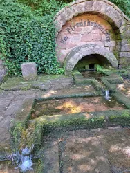 Eine historische Wasserquelle mit einem bogenförmigen Auslauf. Der Boden ist von Moos und Pflanzen überwachsen, und es fließt klares Wasser.