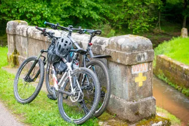 Erlebnistag Autofreies Wallhalbtal 6