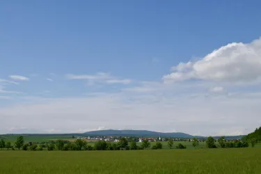 Blick zum Donnersberg (© Fam. Dülmer-Hirsch)
