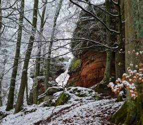 Im Winter (© Archiv: Appartement Persang)