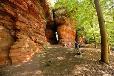 Altschlossfelsen bei Eppenbrunn