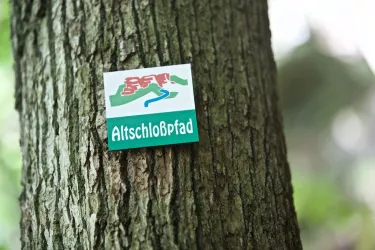 Markierung Premiumweg "Altschlosspfad" (© www.gliglag.de)