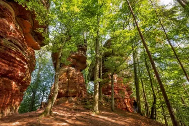 Die Altschlossfelsen bei Eppenbrunn (© Stefan Balkow)